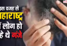 महाराष्ट्र में सरकारी गेहूं से लोगों के बाल झड़ने की घटना महाराष्ट्र में सरकारी गेहूं से लोगों के बाल झड़ने की घटना